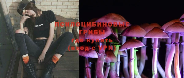 молекула духа Усинск