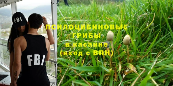 PSILOCYBIN Абдулино
