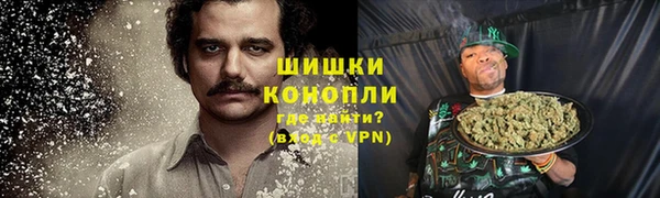 PSILOCYBIN Абдулино
